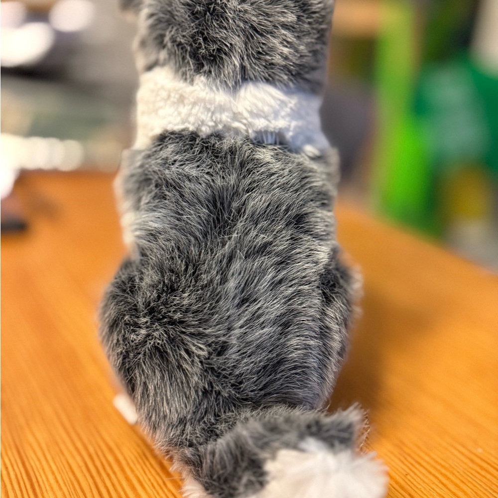 NWOT Husky plush toy, with a Canada 🇨🇦 Collar, white and grey. - Picture 8 of 8